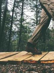 Reborn in the Apocal