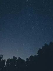 Beginning with a Sig Beginning with a Sig