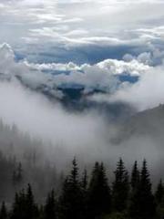 The Imperial Concubi The Imperial Concubi