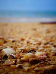 One Night Marriage P One Night Marriage P