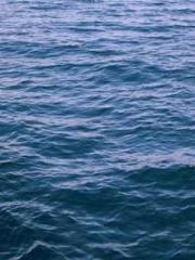 Three treasures atta